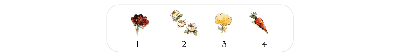 ① (3)